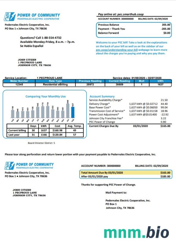 USA Texas Power of Community elektryczność rachunek za media w formacie Word i PDF, dobre dla adresu udowodnić